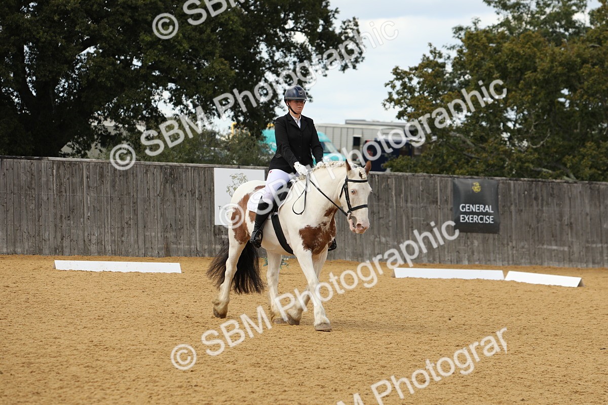 SBM_41808 - D21 - Junior Championship - Intro A