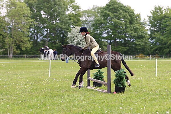 IMG_2573 - Working Hunter