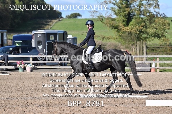 BPP_8781 - SHORT ARENA