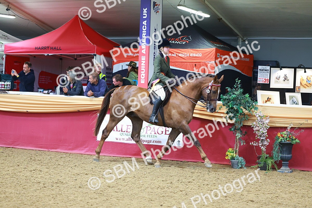 SBM_09895 - Class 102 - HOYS Veteran Qualifier - Ridden Veteran