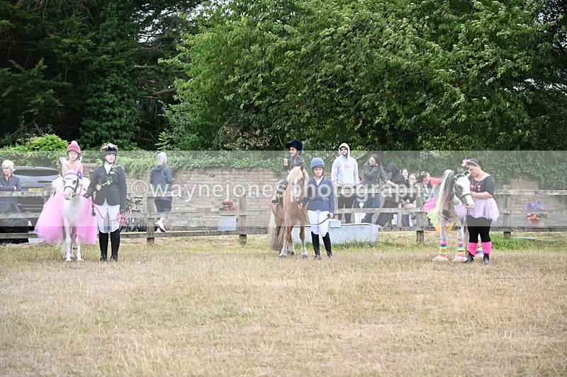 WJ6_9198 - Class 11 Fancy Dress