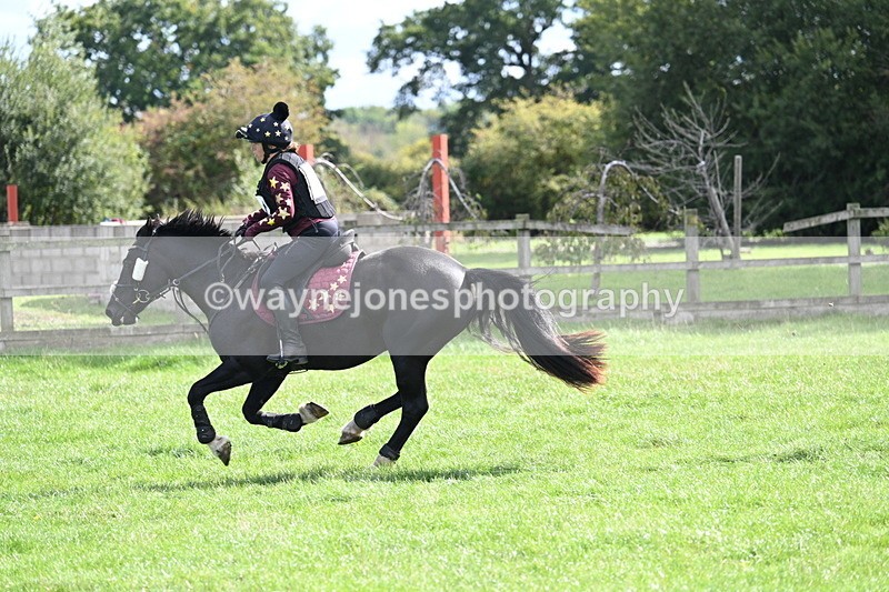 WJ7_0741 - Time 13:30 to 13:54