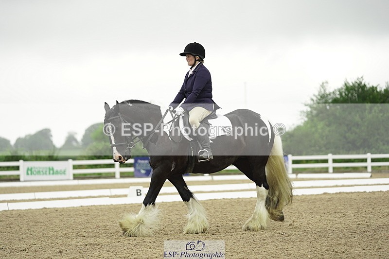 230708A-100238-00281 - Intro C