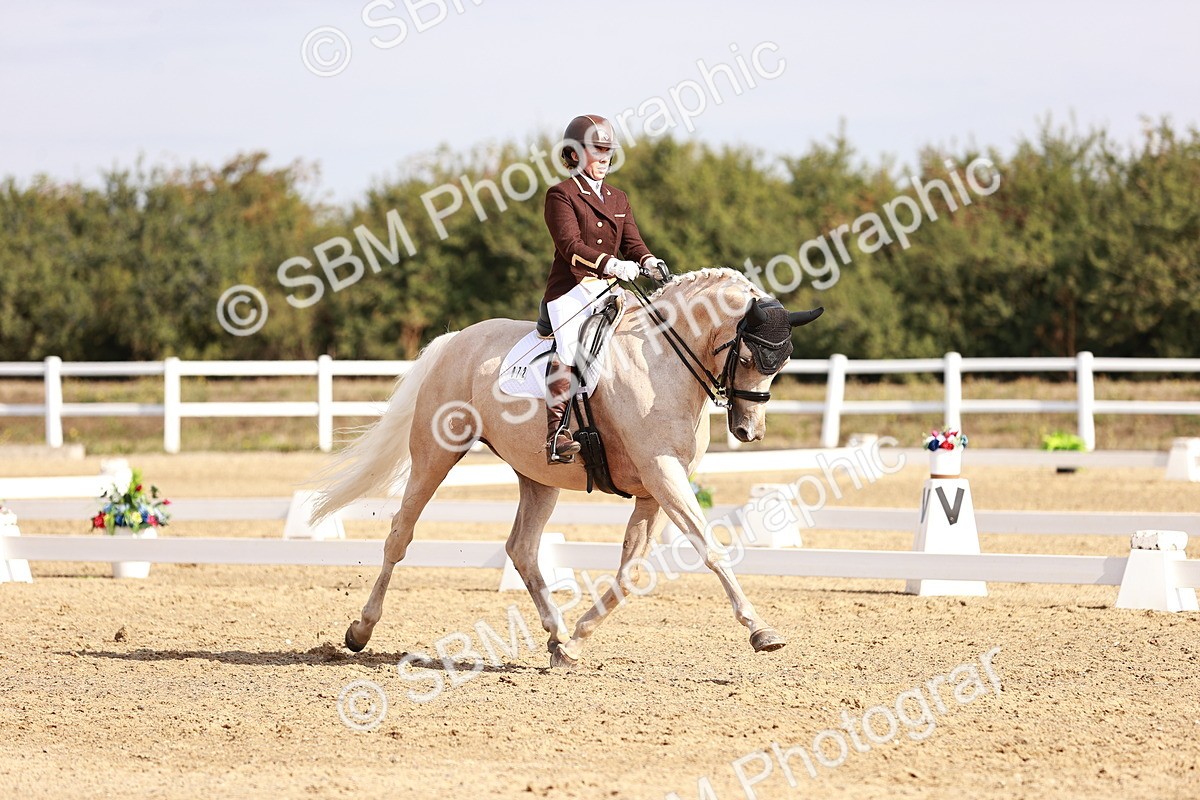 SBM_017026 - Class 10 - Medium 6
