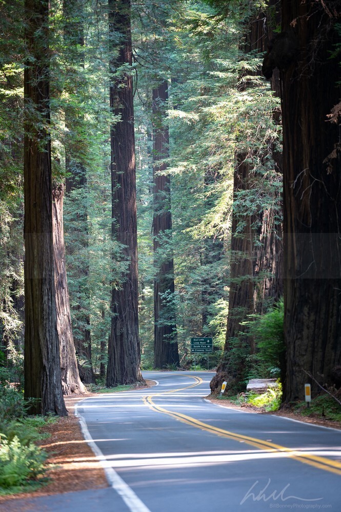 DSC_1569 - Roads