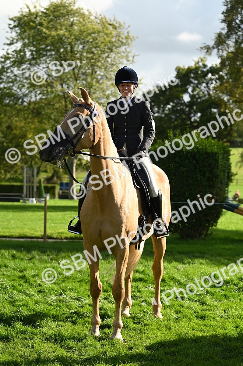 SBM_26481 - S6 - Novice & newcomer Ridden horse