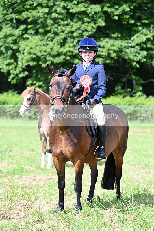 WJ7_0886 - Class 8 First Rally Pony