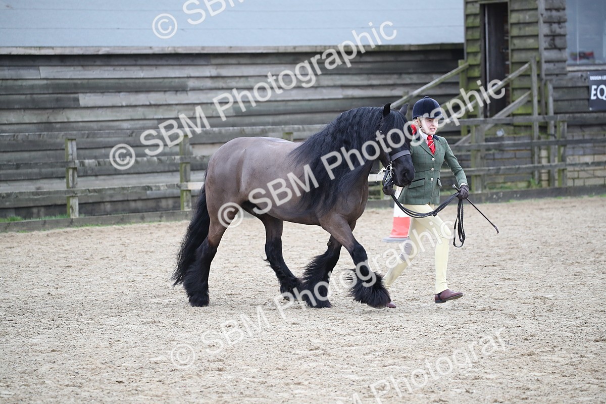 SBM_006181 - Class 10-13 - RIHS Small Large Breeds