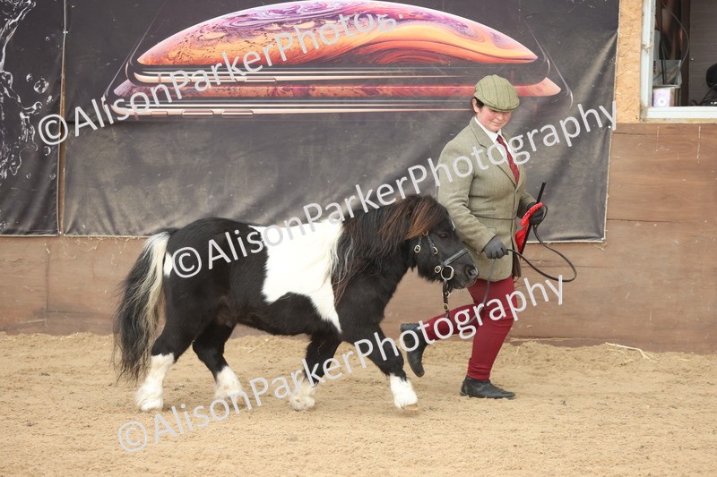 20251109-0423 - Class 15 - Coloureds