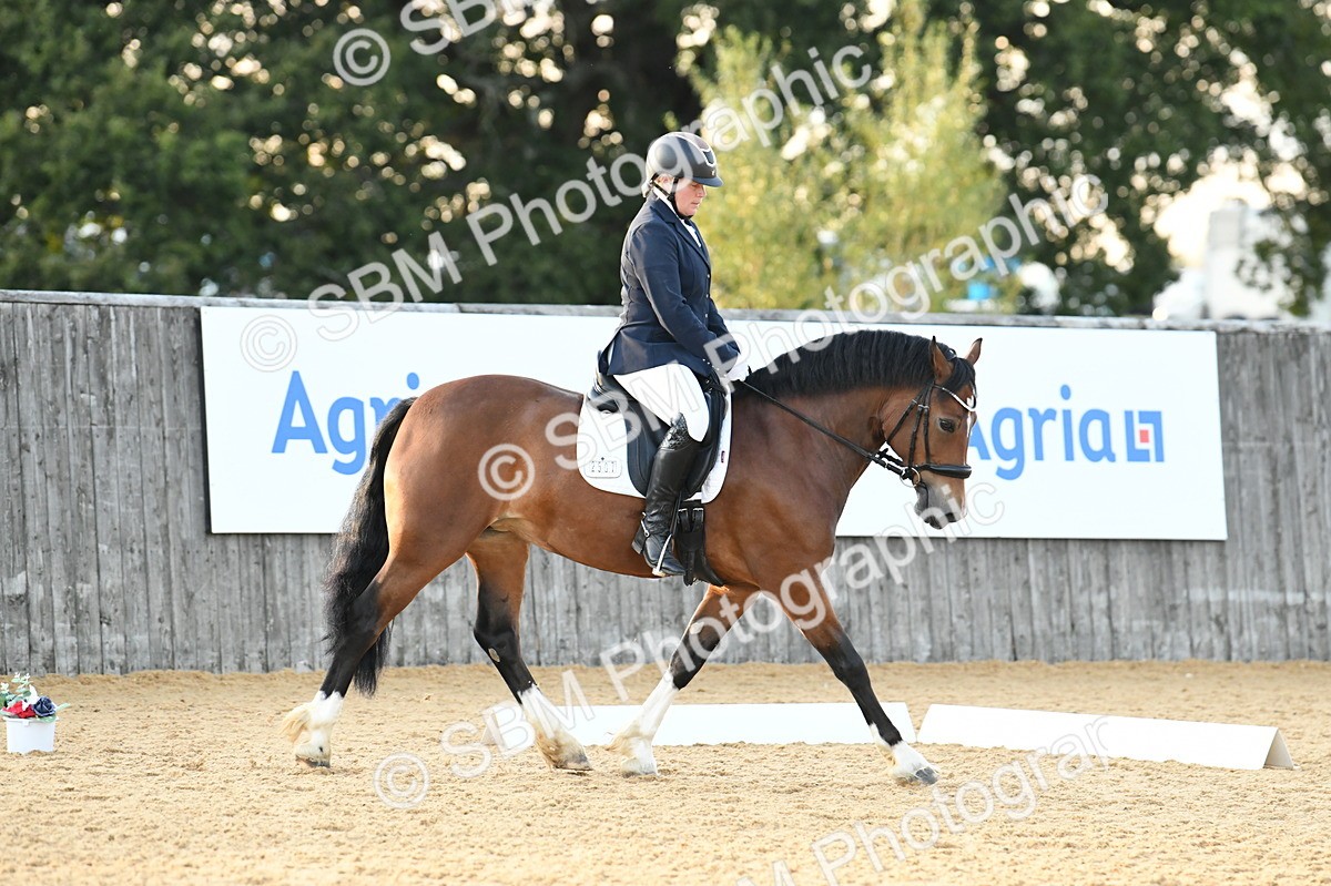 SBM_30920 - D16 - Small Tour Championship - Novice 28