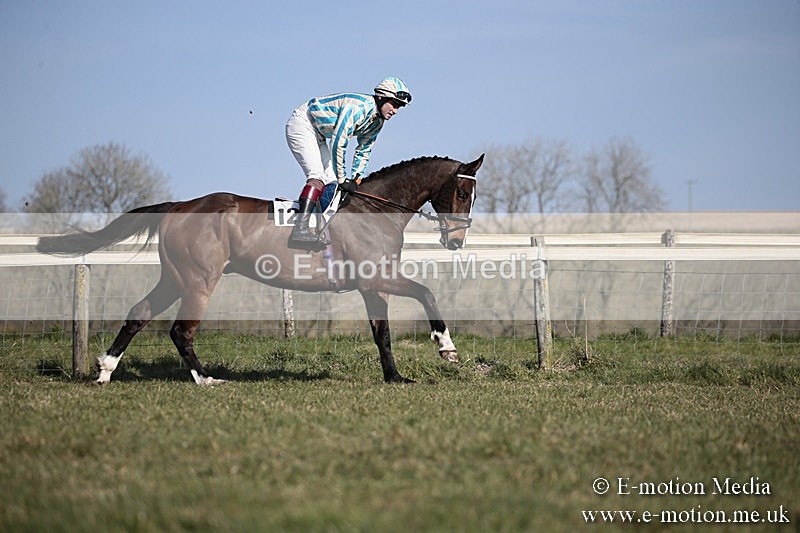 PtP 240218 235 - Vine & Craven Hunt Point-to-Point Barbury racecourse 24/02/18