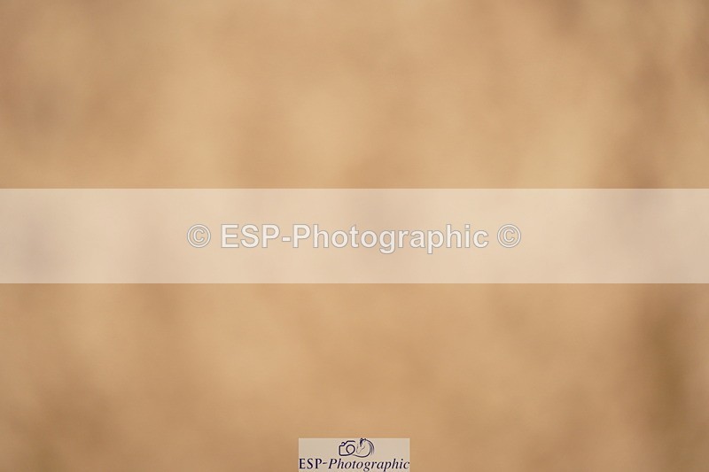 240317A-125958-06342 - Cls 27 Chard Grand Prix