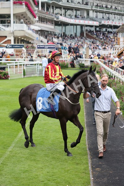 yr20082021r6-13 - Race 6 4.40pm Assured Data Protection British EBF Fillies' Stakes
