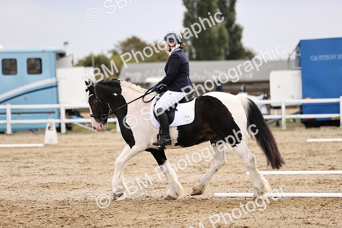 SBM_001130 - Prelim 3