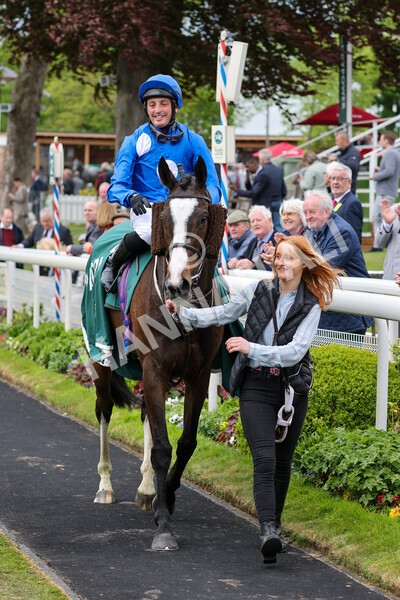 yr13052022r3-41 - Race 3 3.00pm Paddy Power 'I Love Steak' Stakes