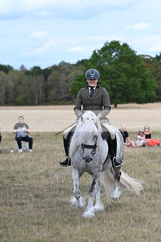 WJ7_5150 - Class 12 Ridden Cob