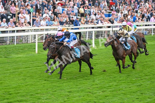 080925-Race 5-Elmonjed-7697 - Race 5 4.30pm Sky Bet Starman Garrowby Stakes