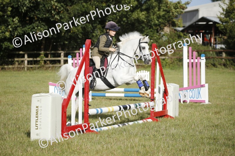 20250831-0005 - Class 1 - 50cm