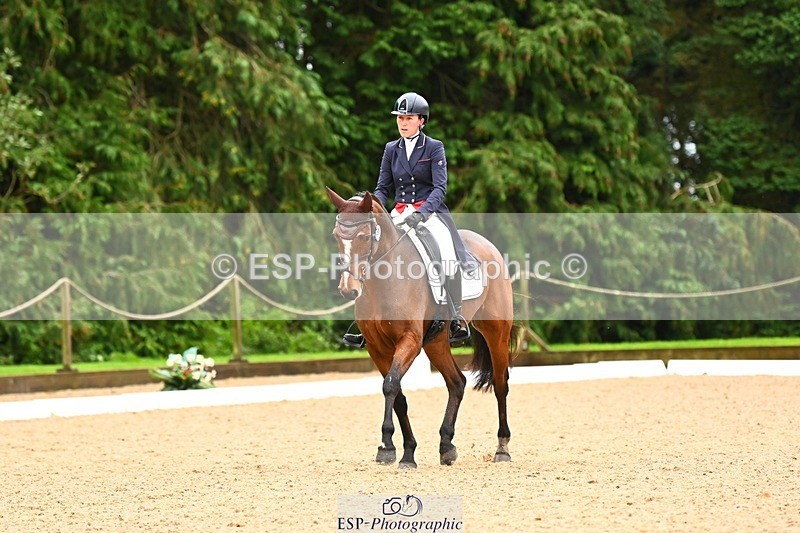 231021-114106-14787 - 238-LEXINGTON.III-Georgina.Wood-DR