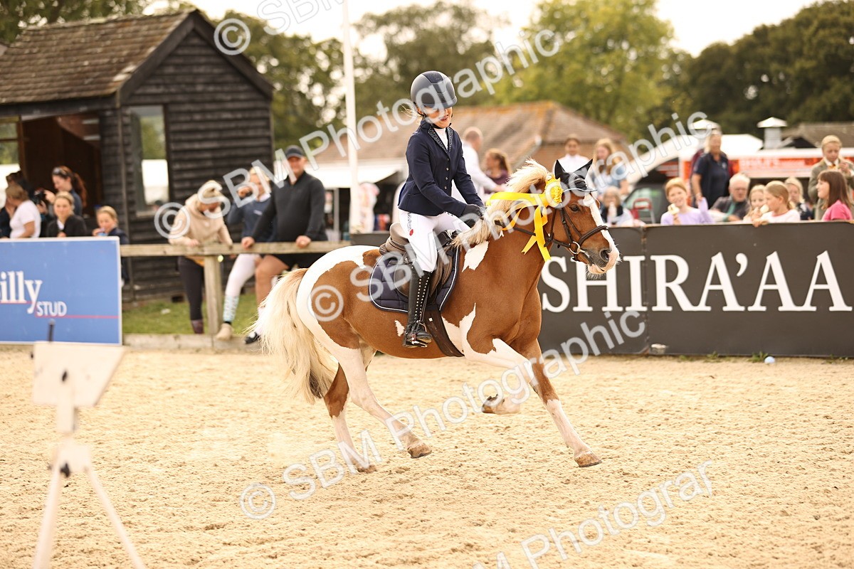 SBM_70879 - J13 - Junior Pony 60cm Championship
