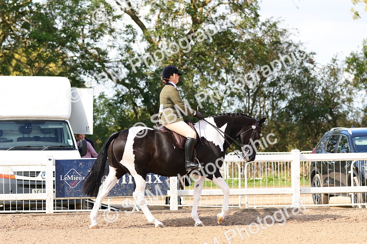 SBM_13447 - Class 212 - Ridden Hunter  - Large