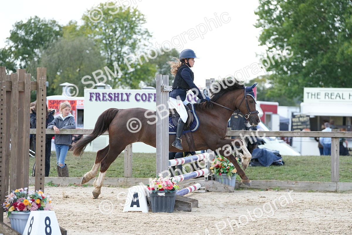 SBM_46816 - J7 - Junior Pony 60cm Championship