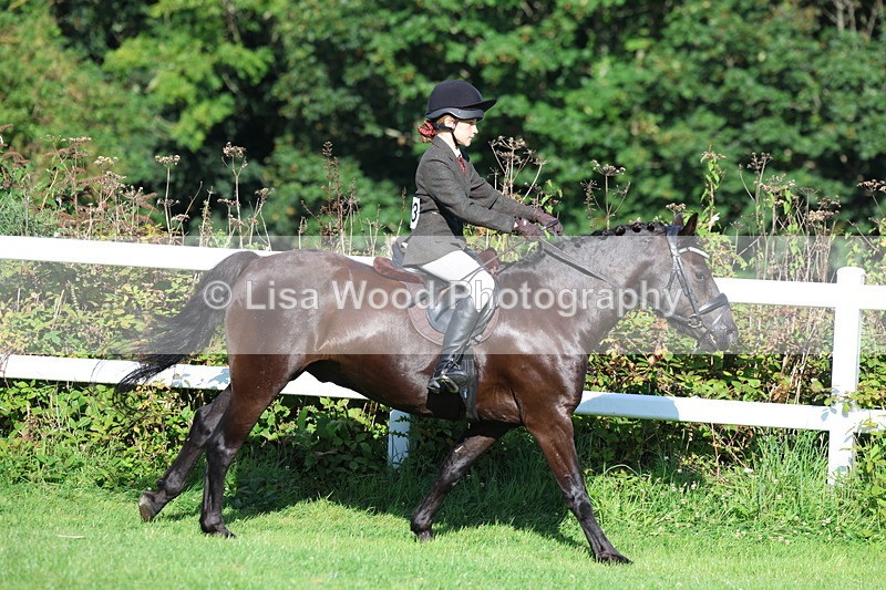 3E7A7592 - Class 1: Novice Working Hunter Pony