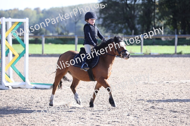 20251005-0007 - Class 1 - 40cm