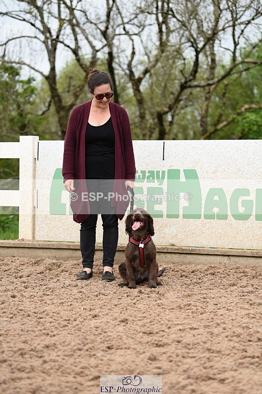 240518A-121138-01118 - Cls 3 Handsomest Dog