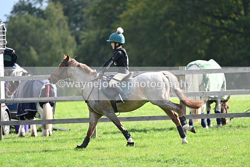 WJ7_5001 - 60cm Time 11:11 to 11:19