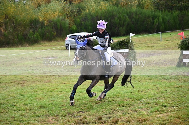 WJ6_1773 - 80cm Cam 1 Time 10:08 to 10:45