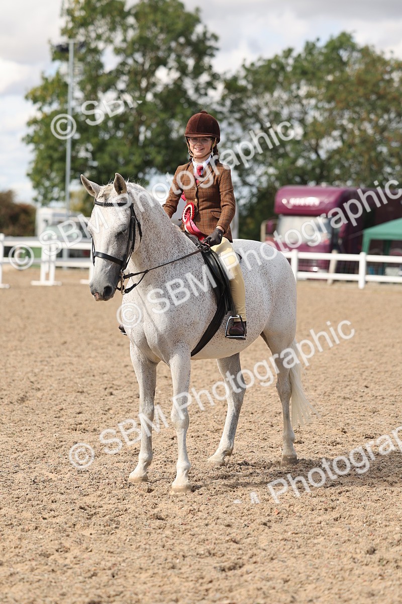 SBM_13202 - Class 306 - Ridden Foreign Breds - Part Bred