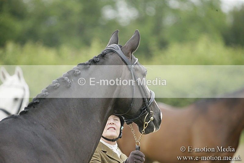 B230619-0276 - Bourne Valley Riding Club Summer Show 23/06/19