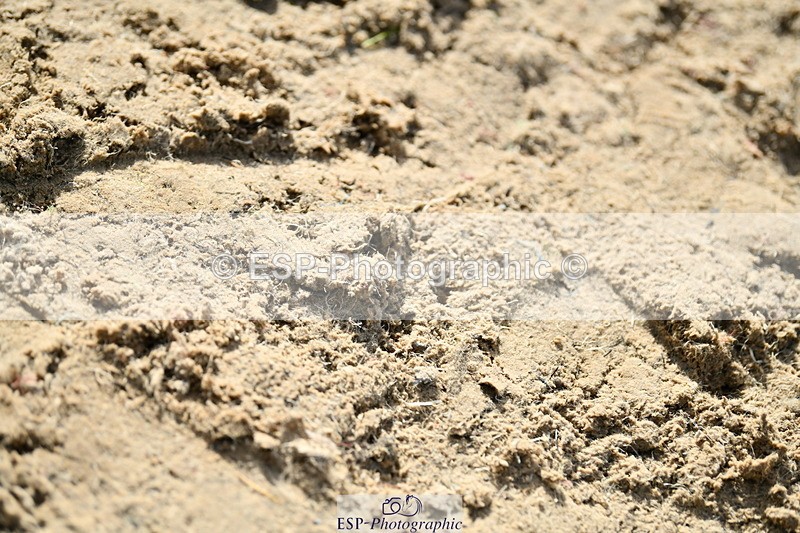 251004A-145729-01601 - Classes 8 & 9 70cm