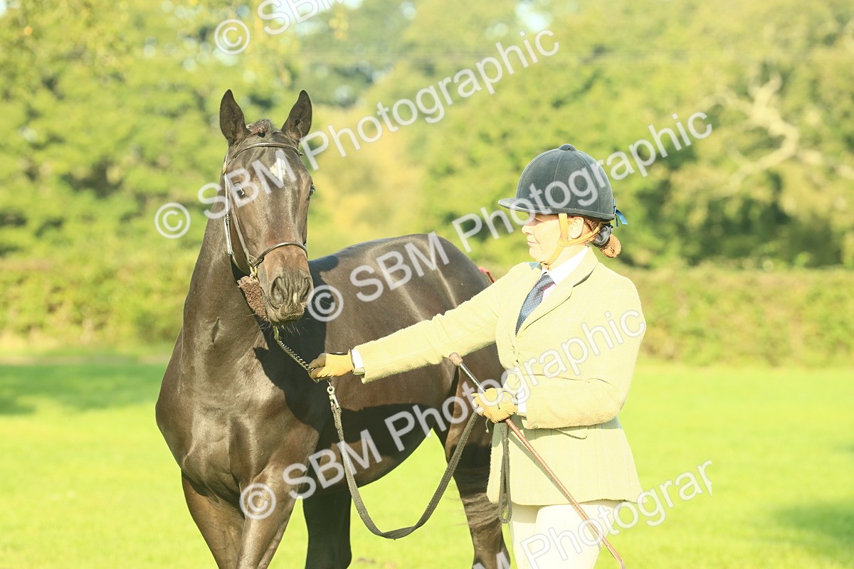 SBM_58615 - S37 - Starters In Hand Showing