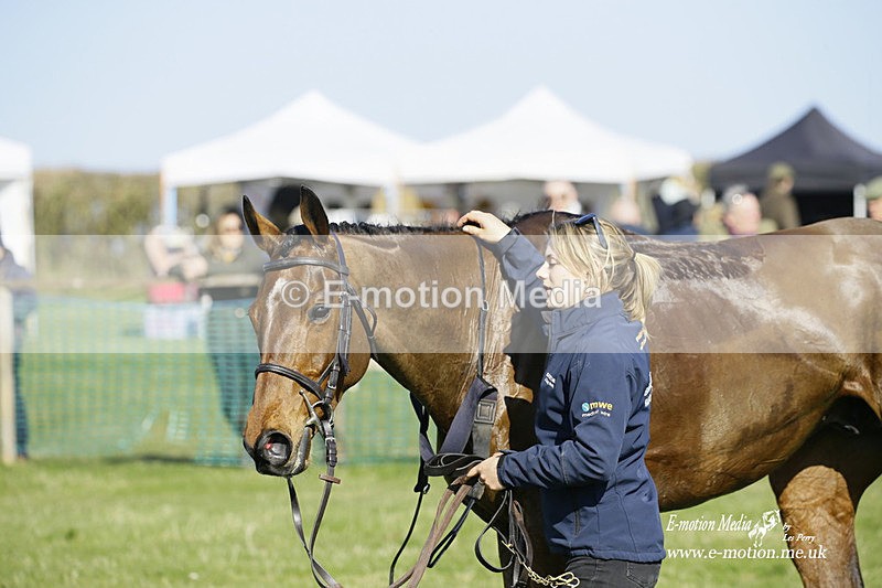 PtP 190322 627 - Wilton Hunt PtP Milborne St Andrew 19/03/22