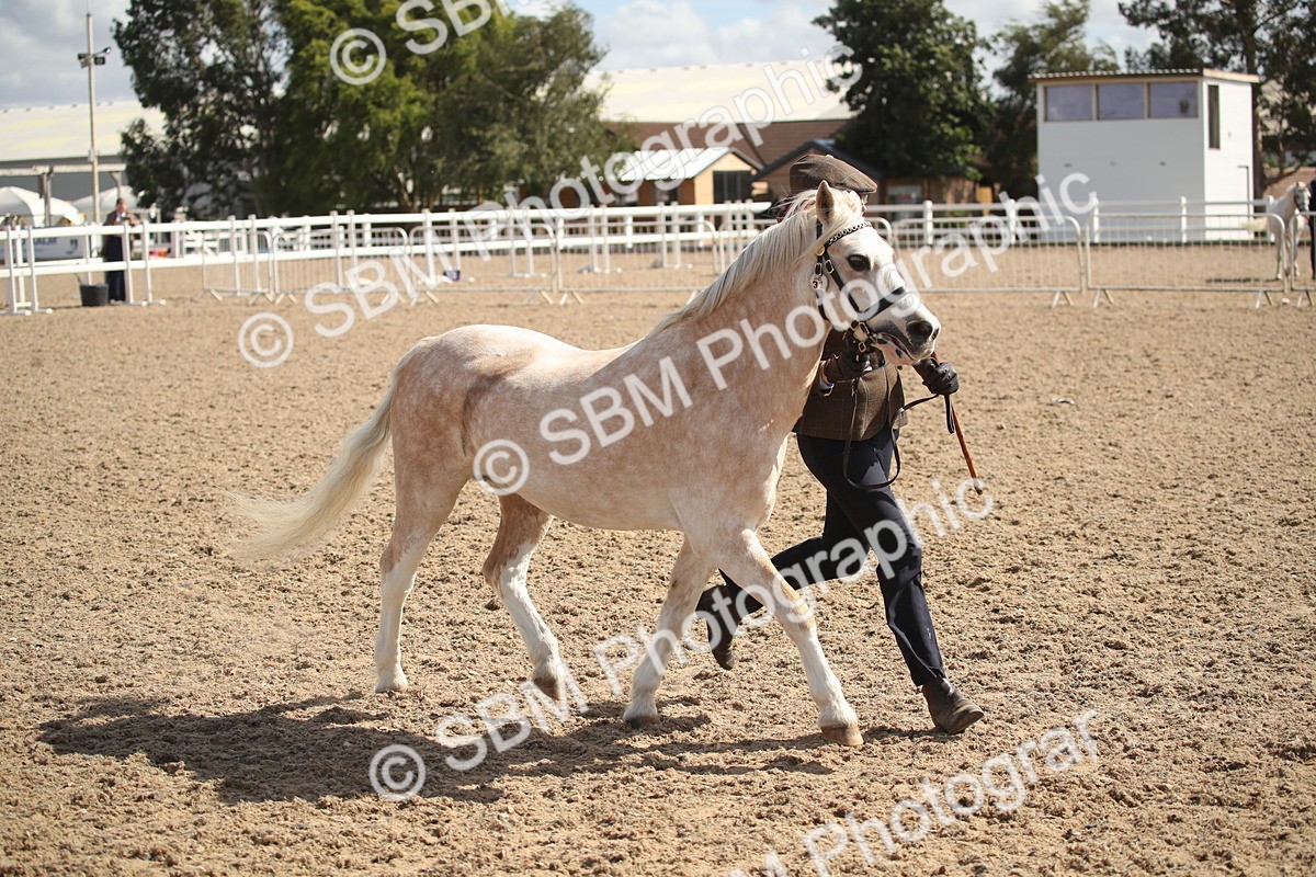 SBM_23428 - Class 604 - 2026 - Area IH Diamond