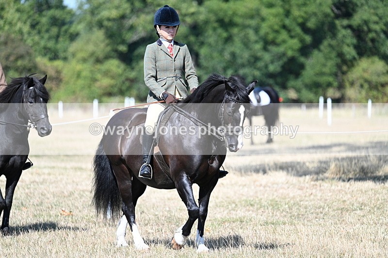 WJ7_3389 - Class 9 Mountain & Moorland Ridden