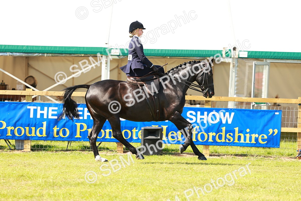 SBM_13226 - Class 70-71 - Side Saddle
