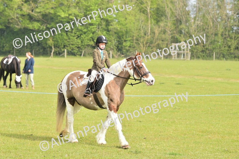 20260426-0846 - Class 18 - Novice Showing