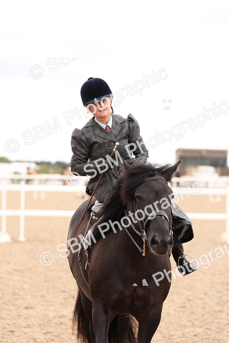 SBM_16438 - Class 211 - Best Side Saddle Horse - Pony