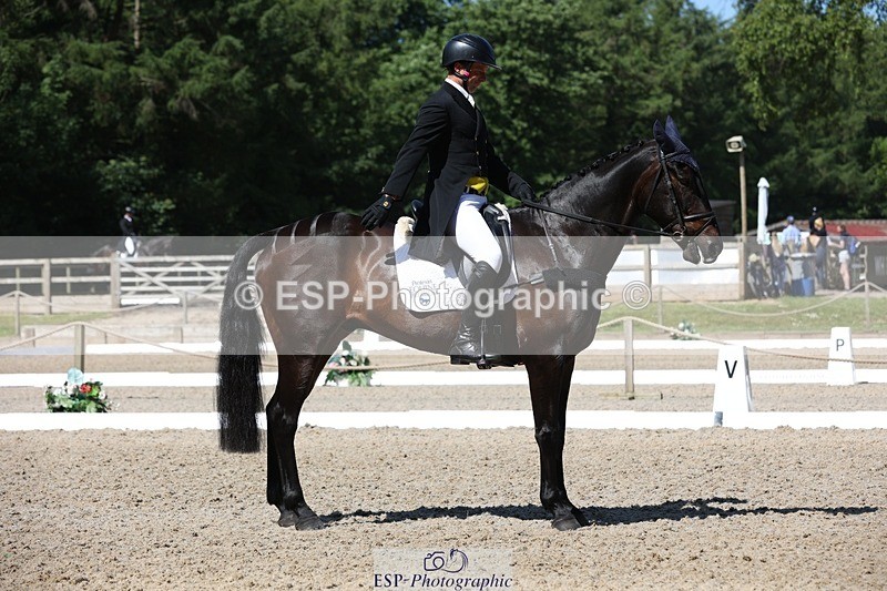 230526-103539-05292 - 362-SPIRIT'S_GEMINI-Harry_Dzenis-WEDTrotUp+DR