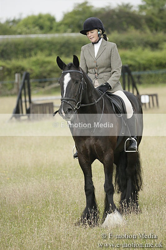 B230619-0167 - Bourne Valley Riding Club Summer Show 23/06/19