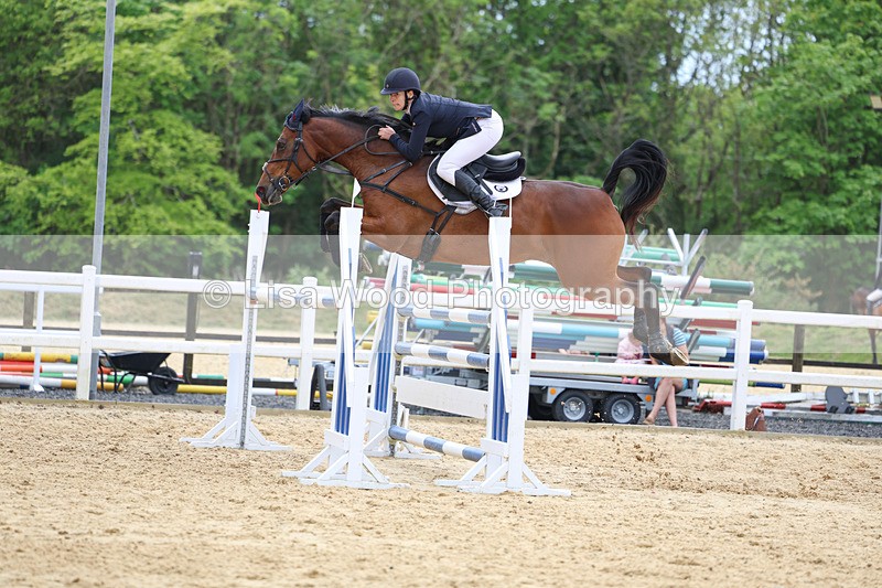 3E7A7625 - Class 8: Senior Foxhunter/1.20 open