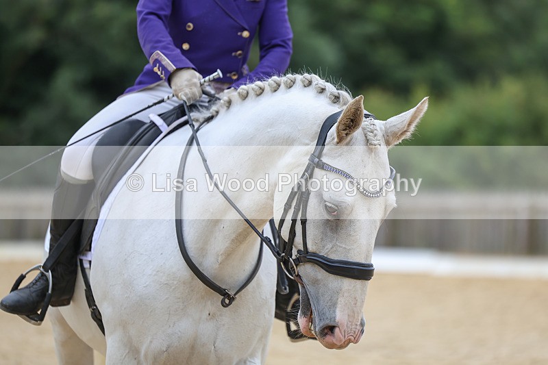 3E7A5923 - Class 3: Prelim 4 2024 - Section A