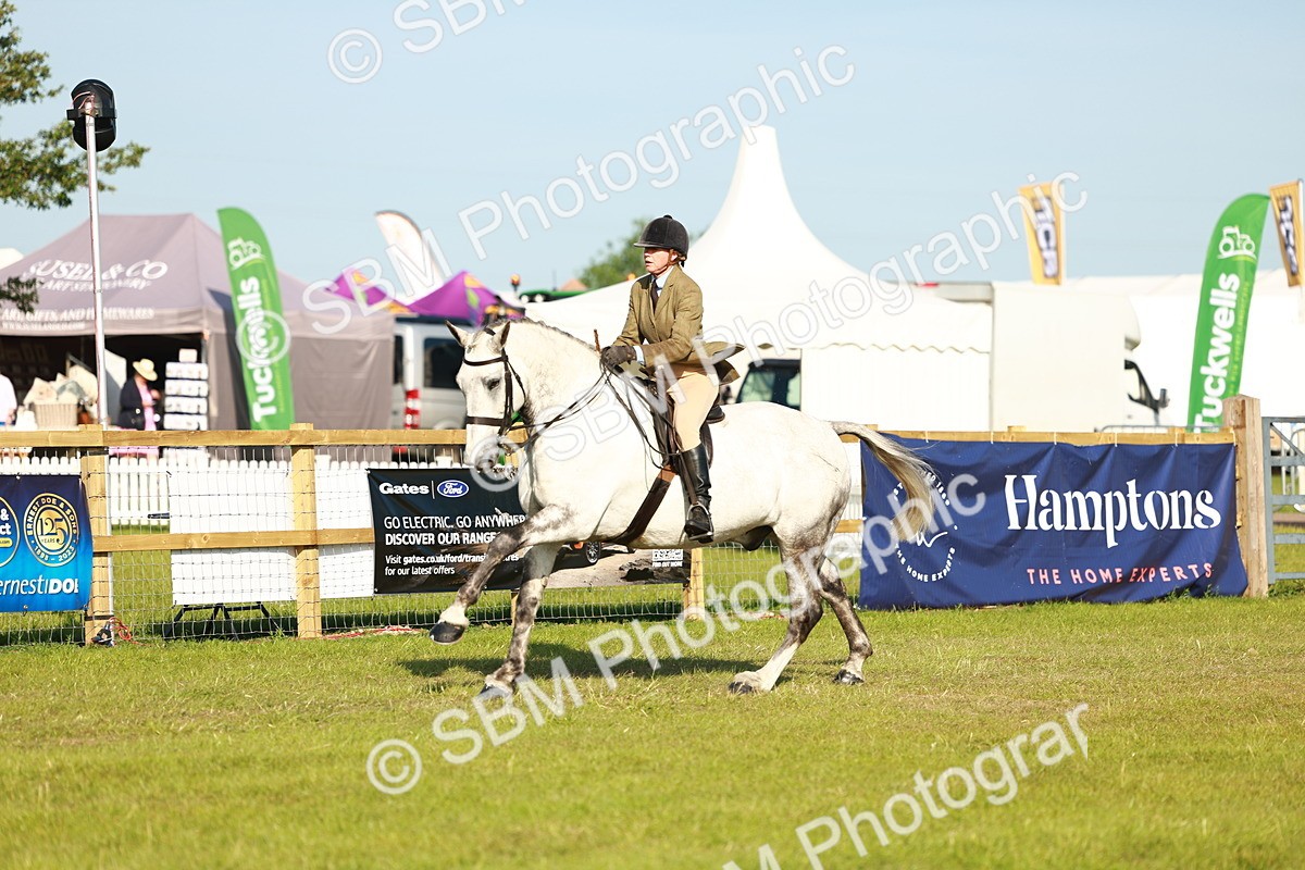 SBM_10773 - Class 66-69 - RIHS Ridden Hunters Inc Small Hunter