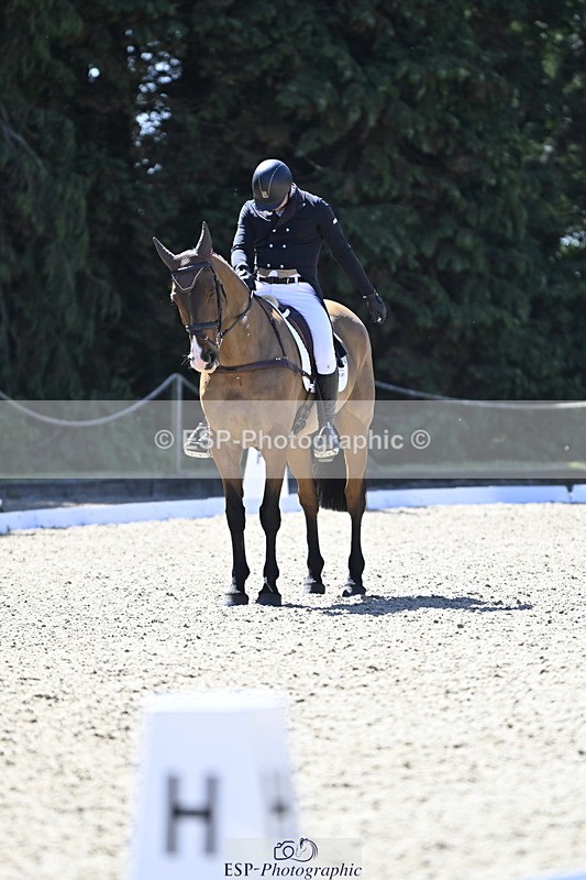 250522A-105039-02920 - B-312-Mark.Davidson-THE.BOSSMAN