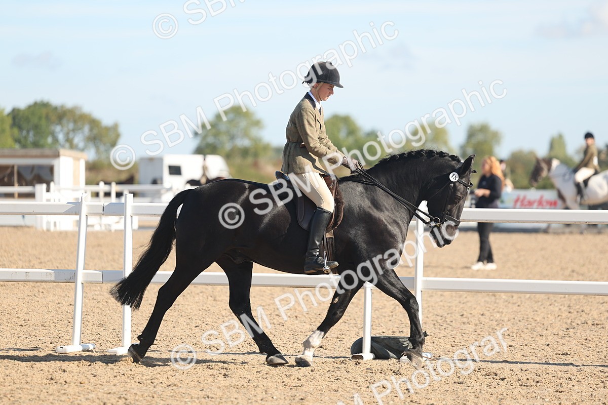 SBM_12308 - Class 304 - Ridden part Bred Horse Pony