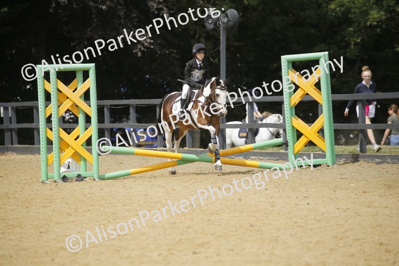 20250622-4118 - 50cm