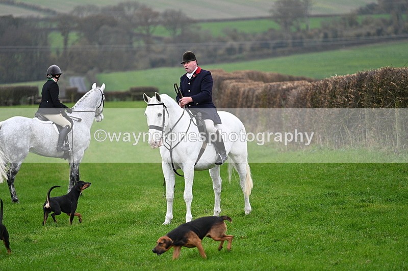 WJ7_8824 - Meet Staff & Hounds